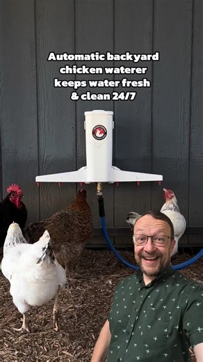 Automatic Backyard Chicken Waterer · The Chicken Fountain® on Instagram: "The little things matter when you’re caring for a flock — and these features make every day easier. 💧 The Chicken Fountain™ was designed to keep water clean, cut down on waste, and give you those peaceful, slow-morning moments back. ✔️ Auto-filling system ✔️ Removable lid for additives ✔️ Drippers that reduce disease + water waste ✔️ Fully enclosed for maximum cleanliness ✔️ Snap-on arms for quick assembly + simple cleani