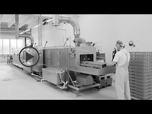 Maximum hygiene: how the best industrial washing system for the bakery industry works | MOHN GmbH