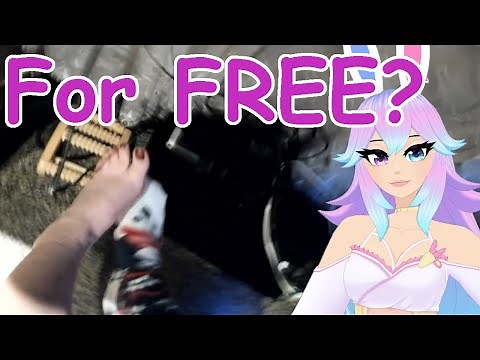 Cottontail's Feet Reveal