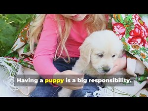 Puppy Training: Essential Tips for a Happy and Well-Behaved Pup 🐾🐶