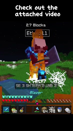 We Made One Of Minecraft's BEST SMPs Applications