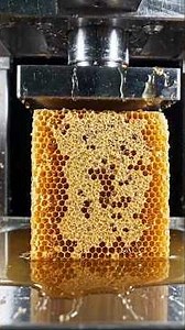Satisfying Honeycomb to Candy Factory Process Industrial ASMR #howitsmade #factoryprocess #factory