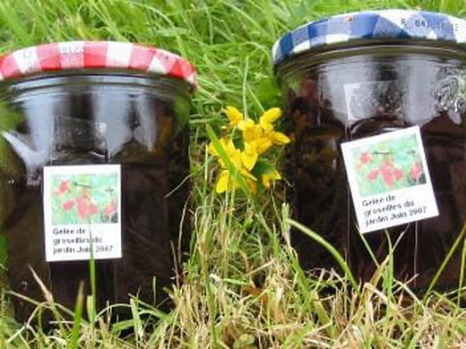 Gelée de groseilles : la recette facile