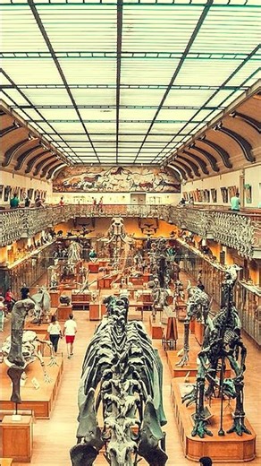 تي ريكس: أخطر مفترس في تاريخ الأرض #shorts