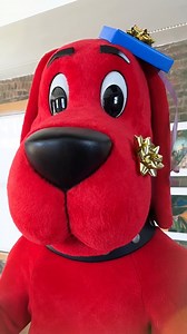 Clifford may have the biggest heart, but when it comes to gift wrapping, he's all paws 🐾 | Clifford The Big Red Dog
