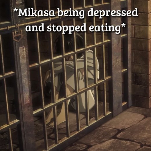 Eren and Mikasa Moments Explained