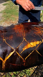 21M views · 10K reactions | Mai curat și alb nu se poate! | Eugen Danca | Facebook