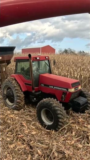 7150 case ih on the grain cart