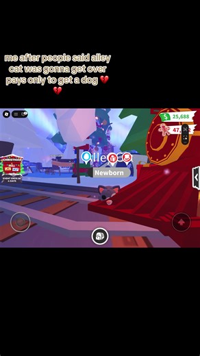 Why My Cat Stares at Me: A Humorous Look