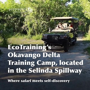 Discover a new kind of safari at EcoTraining’s Okavango Delta Training Camp, located in the Selinda Spillway. EcoTraining invites you to explore, observe and learn in one of Botswana’s most pristine wilderness areas. This is travel with intention. | EcoTraining
