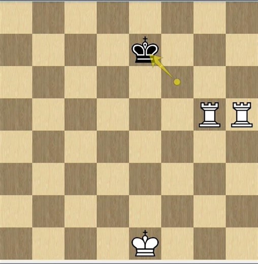 How to check mait ✅ with 2 rough, how to win 2🔥 rough, keval 2 hathi se kaise jite♟️, #chess #shorts