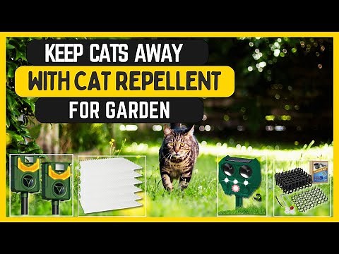 Best Cat Repellent For Garden - Keep Those Pesky Cats Away!