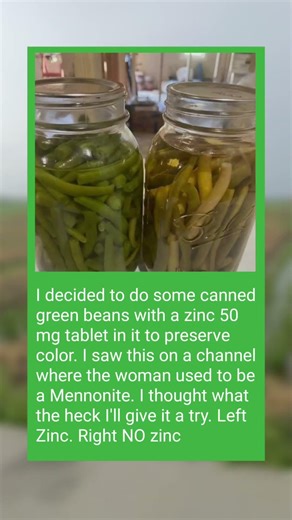 Viral Kitchen Experiment: Zinc Tablet vs No Zinc for Green Beans Color