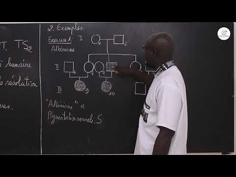 Cours - Terminale S - SVT : Travaux dirigés / Hérédité humaine / Suite 1 / M. Gnass