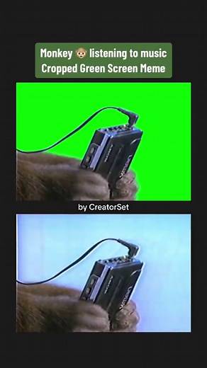 Monkey listening to music Cropped Green Screen Meme Template - A green screen of a monkey listening to music in the Vintage Old 1980’s Sony Walkman Monkey Commercial #monkeylisteningtomusic #croppedgreenscreen #croppedmemes #sonywalkman #retrowave #1980saesthetic #memetemplates #monkey #monkeys