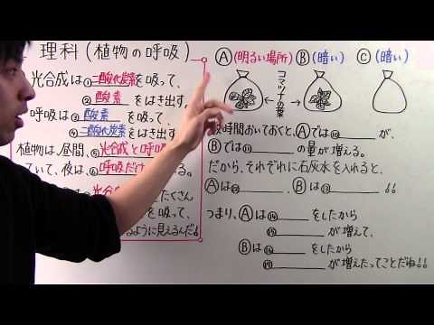 【理科】中1-11 植物の呼吸