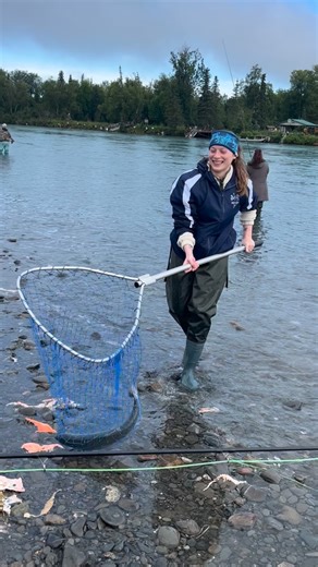 Kenai River Guide on Instagram: "Client goal: land the fish. Actual goal: survive net duty. 😂🔥 #net #salmonfishing #fishing #fishingdaily #alaska #kenaicoldwaterfishing #kenairiver #mysoldotna #kenaipeninsula #salmon #alaskafishing"