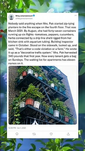 Tiny Fire Escape Garden Nourishes an Entire Apartment Building #shorts