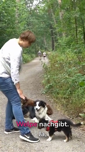 How to set boundaries for your puppy