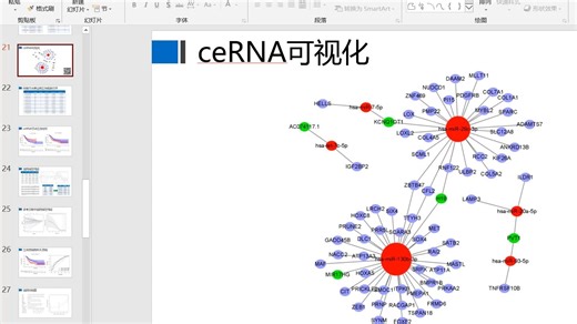 14.ceRNA可视化
