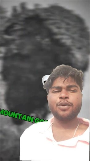 Big Godzilla movie fight interesting 💯 #godzilla #viral #shorts #trending