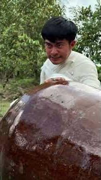 No more space to tie it up! #letuankhang #humor #entertainment #westernvietnam #shorts #windnet