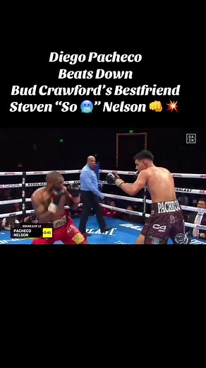 Diego Pacheco Dominates Steven Nelson in Boxing Match