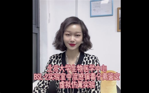 BSL-2实验室中流感病毒分离鉴定虚拟仿真实验系统