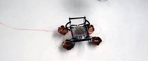 Mini-drone "cockroach" HAMR interested in the Pentagon. One and a half grams of technology