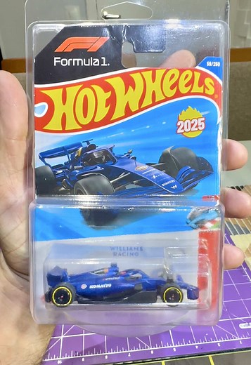 Custom Williams F1 Hot Wheels Collection