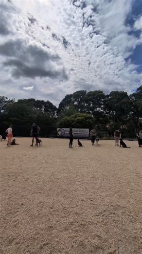 Our group obedience classes aren’t just about training, they’re about building confident, outgoing dogs ready for whatever life throws their way. Each week we focus on real-life skills around distractions, helping dogs learn to think clearly, stay calm, and make great choices. Here’s what we work on ⬇️ • Socially neutral dogs • Engagement and focus games • Recalls away from other dogs • Holding obedience cues • Building confidence and clear communication • Setting dogs up for a lifetime of succe