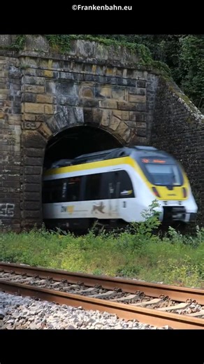 Kirchheimer Tunneleinfahrt Lauffen /Neckar Seite mit MEX Talent 2 BR 8442 #frankenbahn