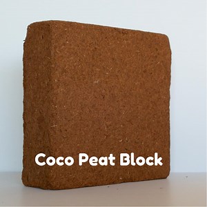37K views · 246 reactions | Coco Peat Block 5 kg Low Shipping Fee Up To 30 June 2018 Only On Shopee. Click on link below: - https://shopee.com.my/Cocopeat-Block-(Approx-5-kg)-i.38306297.596602870 | Wellgrow Seeds | Facebook