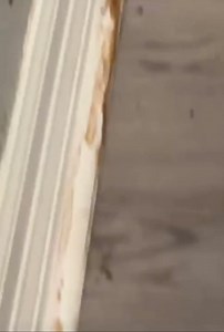 I live in an apartment complex that has a major roach problem.. I believe they recently sprayed the vacant apartment above me which pushed even more roaches into my apartment. What can I do about this? They are in my dishwasher, crawling all over my clean dishes and tonight. I found them inside my refrigerator! | We ALL Nosey