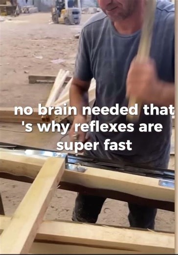 How reflexes actually work??? #workspace #biology #reflexes