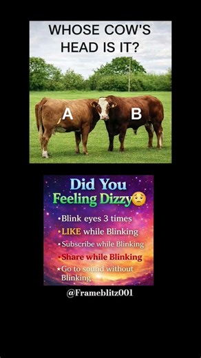 Whose Cow Head Is It? 🐄🤯 Try Not to Get Confused! #shorts #viral