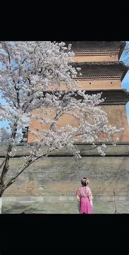 Ancient Wonder: The Wild Goose Pagoda's 1,000-Year Journey