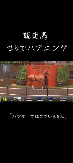 面白い競走馬のせりで起きたハプニング