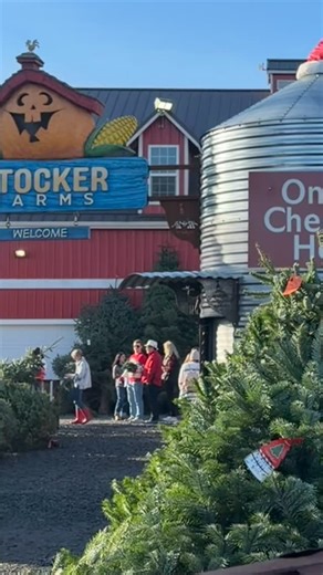 This Black Friday the only shopping we did was for a Christmas Tree at Stocker Farms! They have both pre-cut and u-cut options and their hard working staff are on hand to shake and wrap your favorite tree ♥️ Thank you @stockerfarms 🎄 | Snohomish County Life