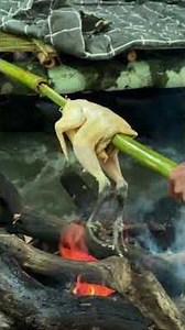 primitive shelter #survival #camping #bushcraft #camp #outdoors