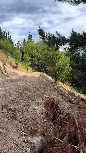 Exploring the Best Trek Mountain Bikes