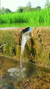 Peaceful Water Sounds for Relaxation