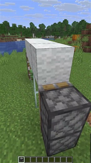 Minecraft door trick! #minecraft #shorts