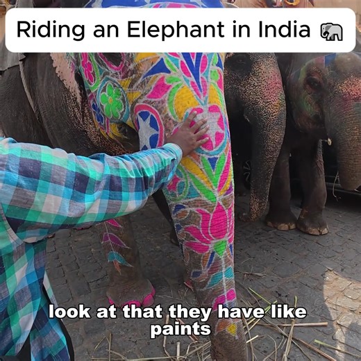 Riding an Elephant in India: A Unique Adventure