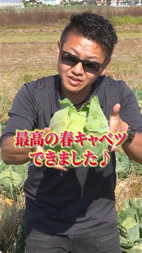 無農薬に挑戦した結果…