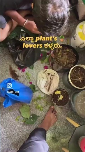 Howda.? #viralshort #funny #plants #viralshort