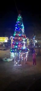 8.3K views · 83 reactions | #THROWback - Linstead Has A Tree Too Throwback to that moment when the Christmas tree lighting was flicked on at Rose Duncan Park in Linstead, St Catherine. The event and decoration were made possible by Councillor for Linstead Division, Herbert Garriques. He switched the lights on with support from Mayor of Spanish Town Norman Scott. | The Jamaica Beacon | Facebook
