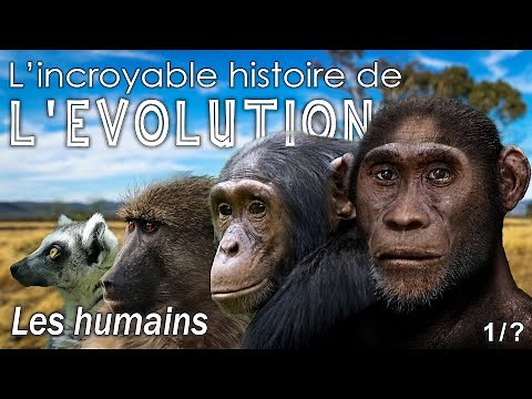 The Origins of Humans - Ep. 1 - Human Evolution - Simplex Paleo