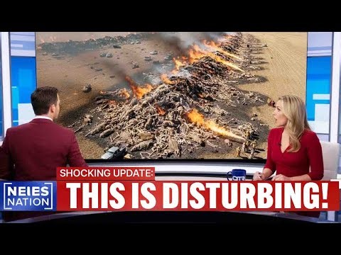 South Carolina’s Wild Hog Numbers Exploded and the Damage Is Worse Than Reported