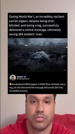 During World War I, an incredibly resilient carrier pigeon successfully delivered a critical message